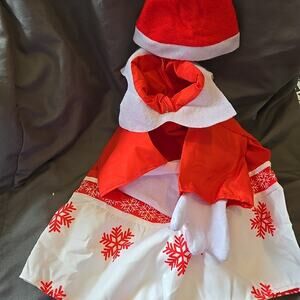 Winter/Christmas Porch Goose Outfit Costume for 23 High Cement or Plastic Goose
